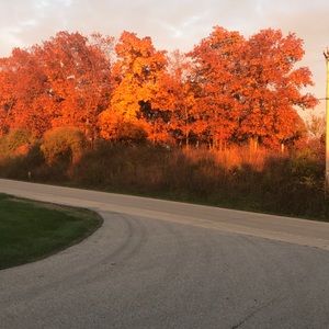 Meet your Posher, Nippy